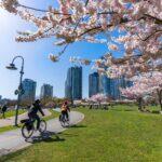 <a href='https://www.fodors.com/world/north-america/canada/british-columbia/vancouver/experiences/news/photos/how-to-get-around-vancouver-without-a-car#'>From &quot;How to Get Around Vancouver Without a Car: Vancouver by Foot and Bike&quot;</a>