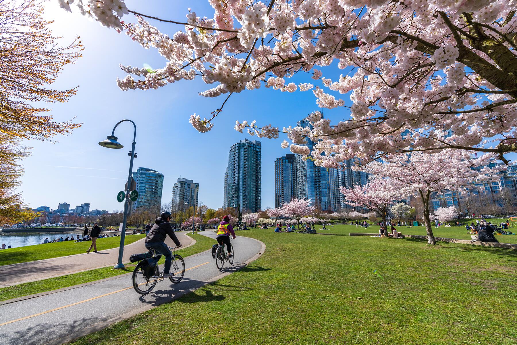 <a href='https://www.fodors.com/world/north-america/canada/british-columbia/vancouver/experiences/news/photos/how-to-get-around-vancouver-without-a-car#'>From &quot;How to Get Around Vancouver Without a Car: Vancouver by Foot and Bike&quot;</a>