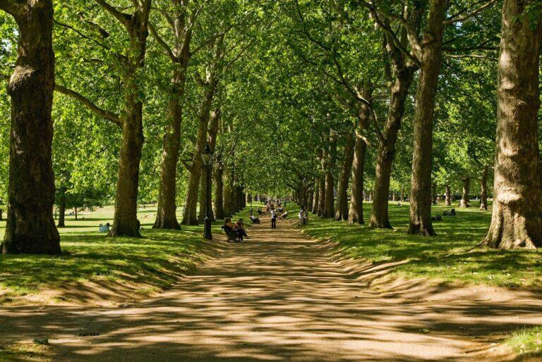 <a href='https://www.fodors.com/world/europe/england/london/experiences/news/photos/londons-best-parks-and-gardens#'>From &quot;The 10 Best Parks in London: The Green Park&quot;</a>