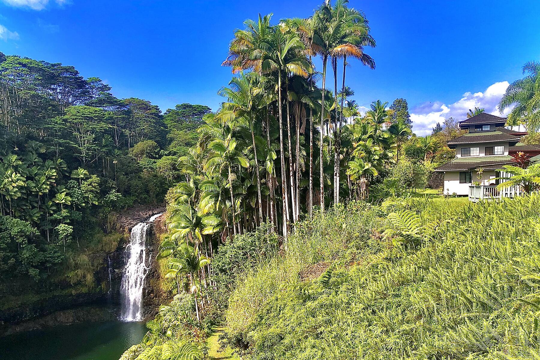 Best Things to Do in Hilo, on Hawaii's Big Island