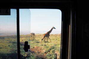 10 Rules You Absolutely Must Follow When Viewing Wildlife