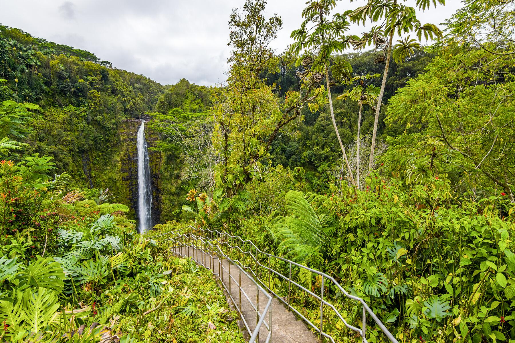 <a href='https://www.fodors.com/world/north-america/usa/hawaii/experiences/news/photos/dont-do-these-things-in-hawaii#'>From &quot;The Absolute Dumbest Things Tourists Have Done in Hawaii: Jumping Over the Railing at Akaka Falls&quot;</a>