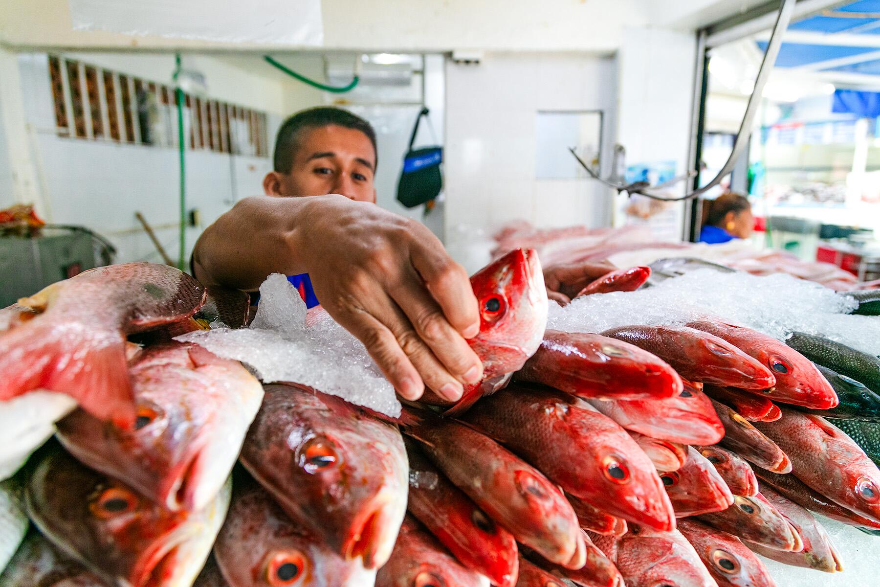 3-A Course With A Market Visit-Shutterstock-2128306001