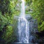 <a href='https://www.fodors.com/world/north-america/usa/hawaii/kauai/experiences/news/photos/top-things-in-kauai-for-adventure-lovers-foodies-family-travel-and-more#'>From &quot;The Top Things to Do in Kauai Depending on Your Travel Style: Luxury Travelers&quot;</a>