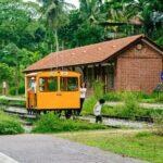 <a href='https://www.fodors.com/world/asia/singapore/experiences/news/photos/the-best-outdoor-spaces-to-enjoy-while-in-singapore#'>From &quot;The 10 Best Outdoor Spaces in Singapore: Rail Corridor&quot;</a>