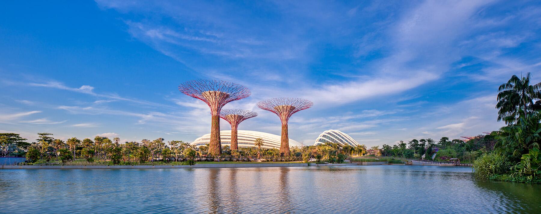 <a href='https://www.fodors.com/world/asia/singapore/experiences/news/photos/the-best-outdoor-spaces-to-enjoy-while-in-singapore#'>From &quot;The 10 Best Outdoor Spaces in Singapore: Gardens by the Bay&quot;</a>