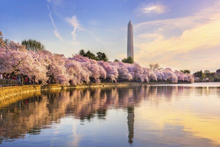 <a href='https://www.fodors.com/world/north-america/usa/washington-dc/experiences/news/photos/the-best-washington-d-c-itineraries#'>From &quot;10 Washington, D.C., Itineraries for 10 Types of Travelers: For Nature Lovers&quot;</a>