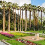 <a href='https://www.fodors.com/world/europe/greece/athens/experiences/news/photos/best-free-things-to-do-in-athens-greece#'>From &quot;10 Free Things You Can Do While Visiting Athens: The National Gardens&quot;</a>