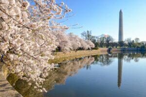 10 Under-the-Radar Neighborhoods in Washington, D.C.