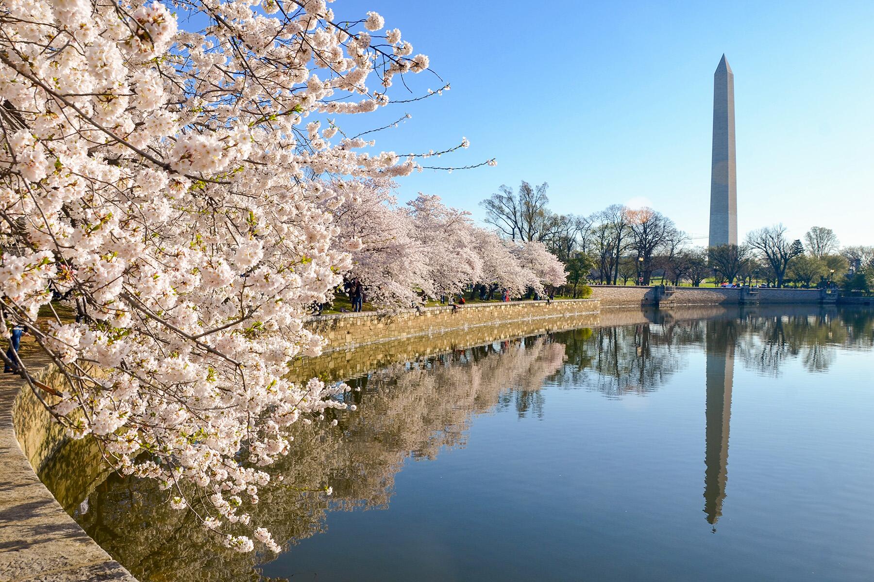 <a href='https://www.fodors.com/world/north-america/usa/washington-dc/experiences/news/photos/a-guide-to-the-best-under-the-radar-neighborhoods-in-washington-d-c#'>From &quot;10 Under-the-Radar Neighborhoods in Washington, D.C.&quot;</a>