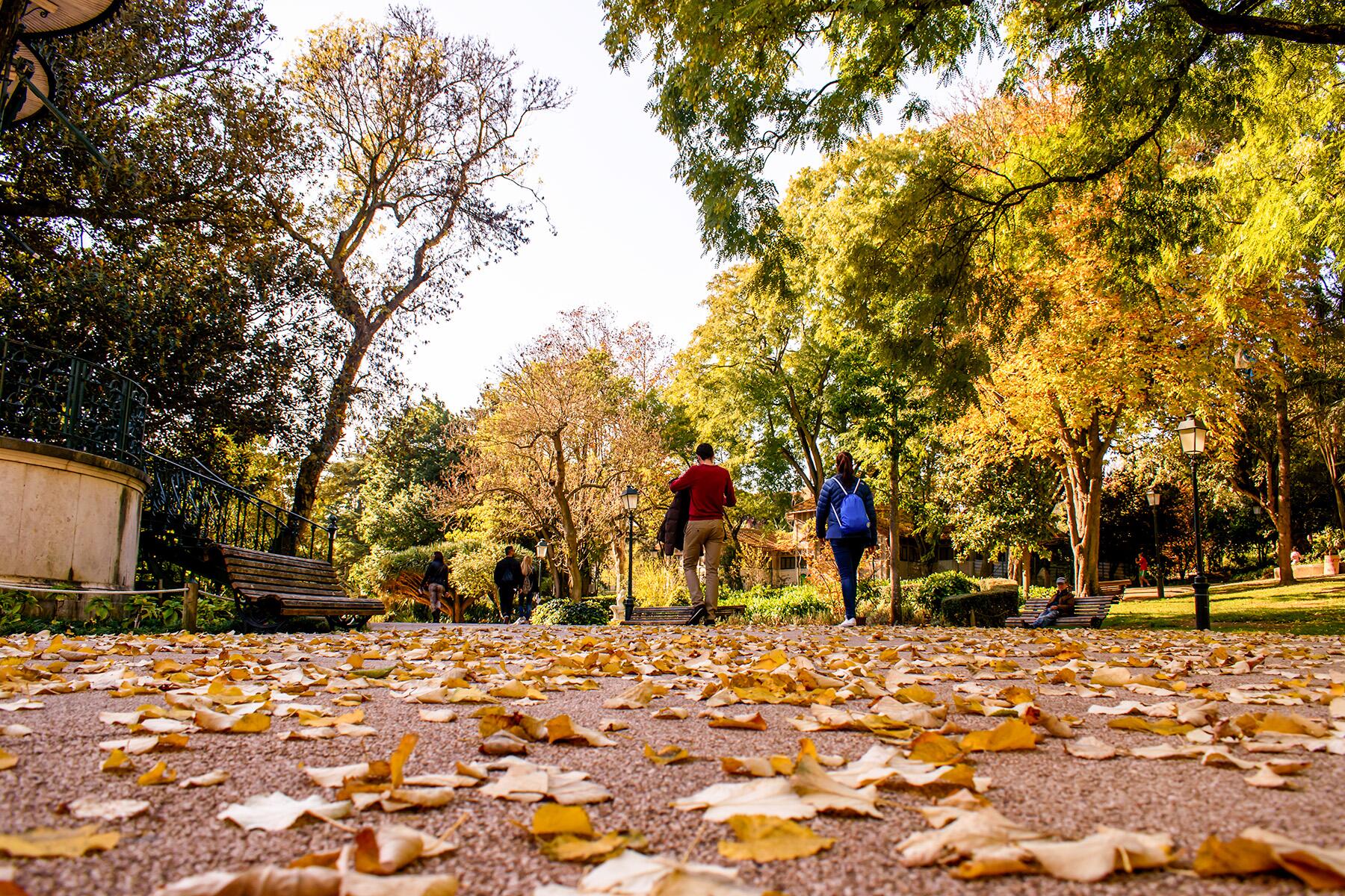 What Time Of Year Should I Visit Lisbon