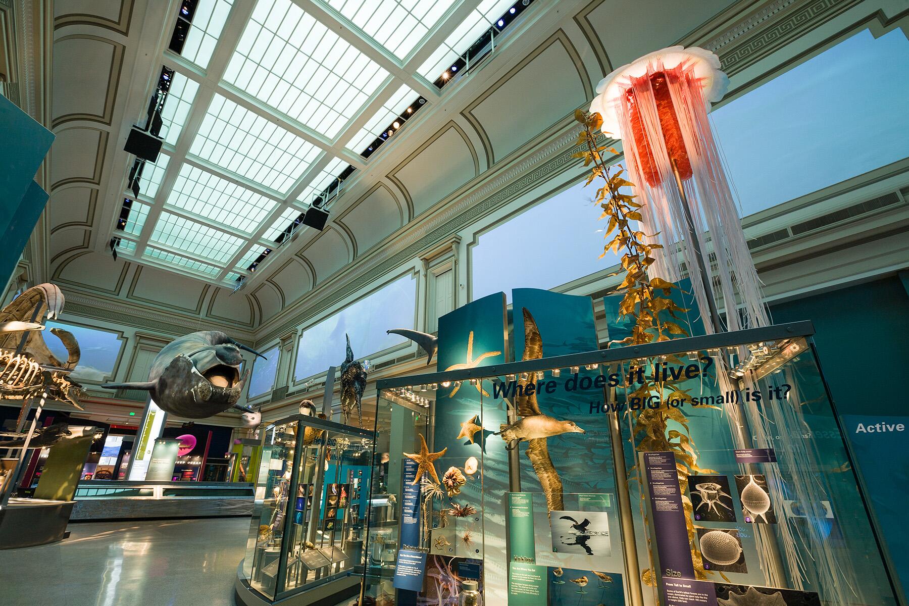 <a href='https://www.fodors.com/world/north-america/usa/washington-dc/experiences/news/photos/the-23-best-museums-in-washington-d-c#'>From &quot;The 30 Best Museums in Washington, D.C.: Smithsonian National Museum of Natural History &quot;</a>