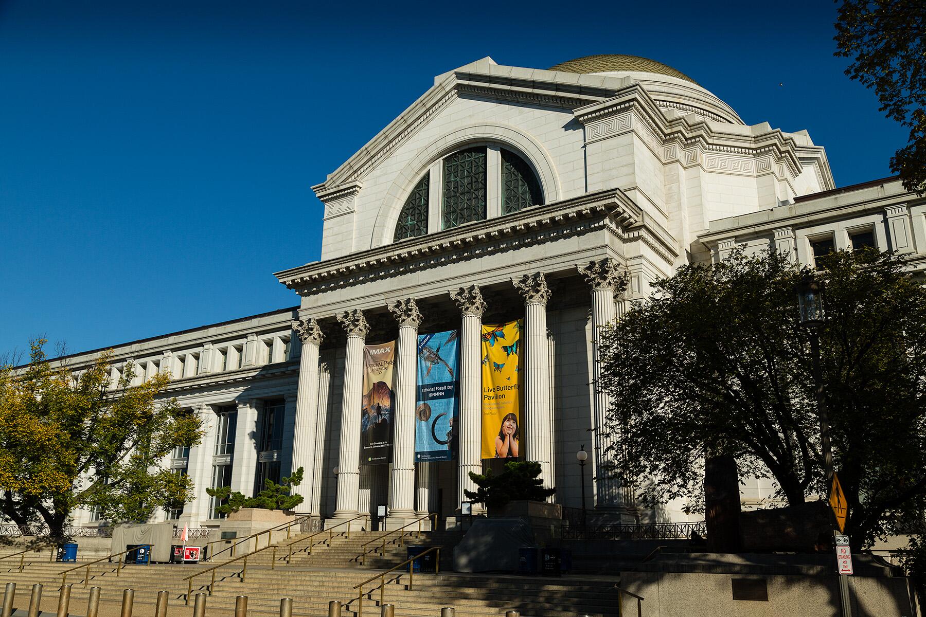 <a href='https://www.fodors.com/world/north-america/usa/washington-dc/experiences/news/photos/the-23-best-museums-in-washington-d-c#'>From &quot;The 30 Best Museums in Washington, D.C.: Smithsonian National Museum of Natural History &quot;</a>