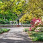 <a href='https://www.fodors.com/world/north-america/usa/south-carolina/charleston/experiences/news/photos/the-best-day-trips-to-take-from-charleston-south-carolina#'>From &quot;The 10 Best Day Trips From Charleston: Brookgreen Gardens&quot;</a>