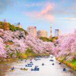 <a href='https://www.fodors.com/world/asia/japan/tokyo/experiences/news/photos/heres-how-to-save-money-when-you-visit-tokyo#'>From "Tokyo Is Expensive! So, Here Are 10 Ways to Save Money When You Visit: Visit Terrific Free, Niche Attractions"</a>