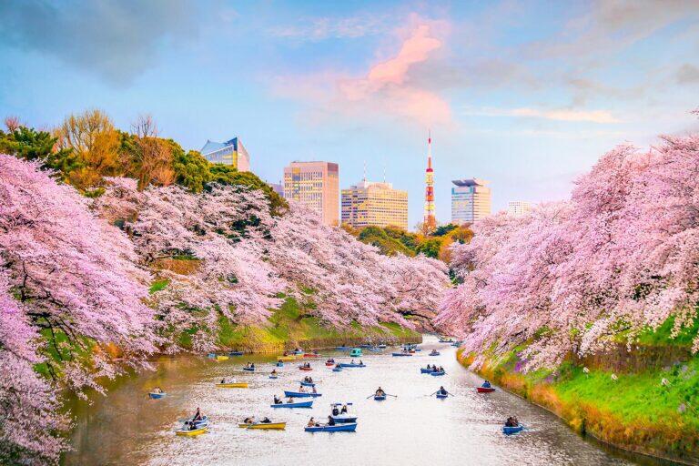 <a href='https://www.fodors.com/world/asia/japan/tokyo/experiences/news/photos/heres-how-to-save-money-when-you-visit-tokyo#'>From &quot;Tokyo Is Expensive! So, Here Are 10 Ways to Save Money When You Visit: Visit Terrific Free, Niche Attractions&quot;</a>