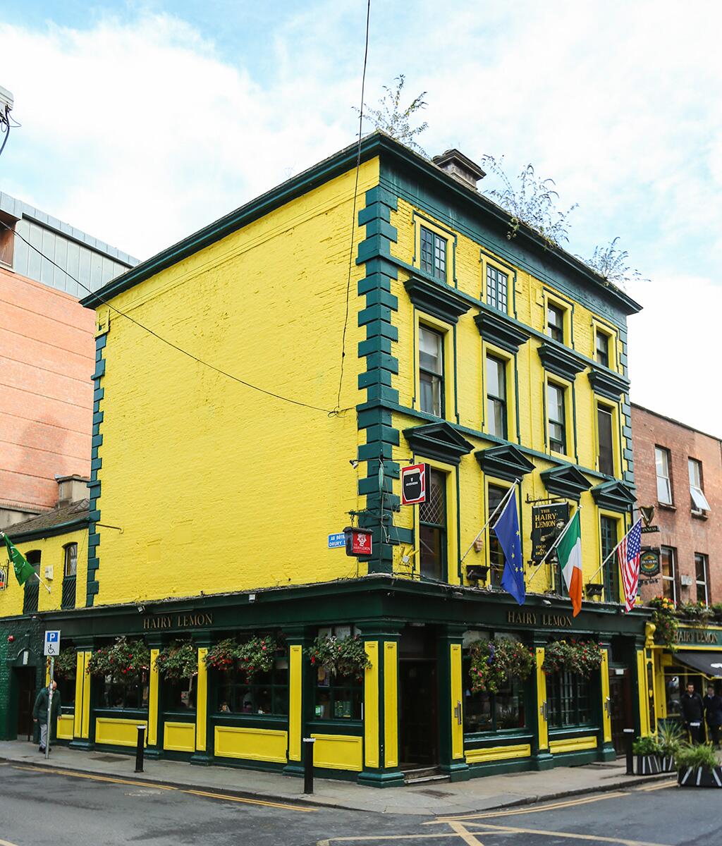 <a href='https://www.fodors.com/world/europe/ireland/dublin/experiences/news/photos/where-to-find-the-best-pubs-in-dublin#'>From &quot;The Best Pubs in Dublin, According to Locals: The Hairy Lemon &quot;</a>
