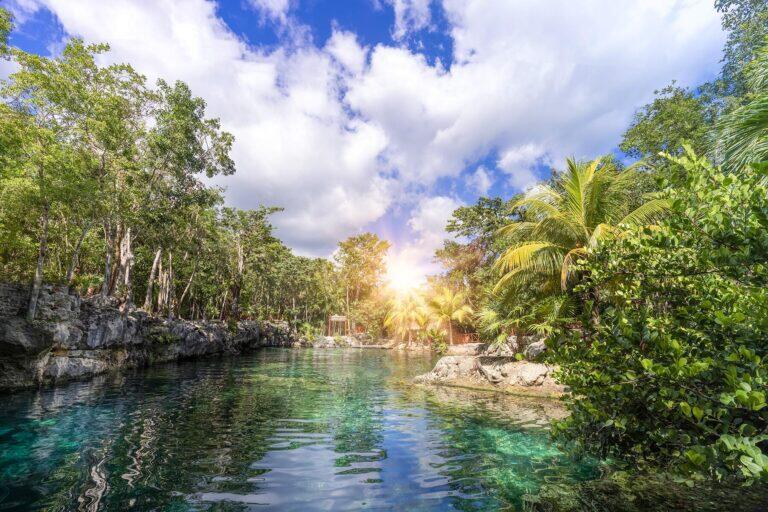 <a href='https://www.fodors.com/world/mexico-and-central-america/mexico/the-riviera-maya/experiences/news/photos/best-cenotes-to-visit-in-riviera-maya#'>From "The 10 Most Magical Cenotes in the Riviera Maya"</a>