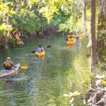 <a href='https://www.fodors.com/world/north-america/usa/florida/orlando/experiences/news/photos/best-outdoor-adventures-to-have-around-orlando-florida#'>From &quot;10 Amazing Outdoor Adventures You Can Have in Orlando: Paddle Through a Cypress Swamp &quot;</a>