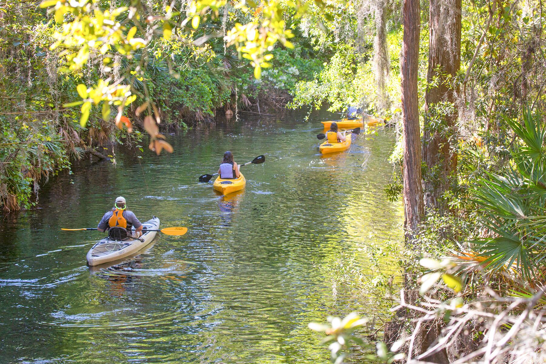 <a href='https://www.fodors.com/world/north-america/usa/florida/orlando/experiences/news/photos/best-outdoor-adventures-to-have-around-orlando-florida#'>From &quot;10 Amazing Outdoor Adventures You Can Have in Orlando: Paddle Through a Cypress Swamp &quot;</a>
