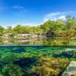 <a href='https://www.fodors.com/world/mexico-and-central-america/mexico/the-riviera-maya/experiences/news/photos/best-cenotes-to-visit-in-riviera-maya#'>From &quot;The 10 Most Magical Cenotes in the Riviera Maya: Cenote Jardín del Eden&quot;</a>