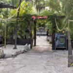 <a href='https://www.fodors.com/world/mexico-and-central-america/mexico/the-riviera-maya/experiences/news/photos/best-bars-and-nightclubs-in-riviera-maya#'>From &quot;The 10 Best Bars and Nightclubs in Riviera Maya: Gitano&quot;</a>
