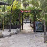 <a href='https://www.fodors.com/world/mexico-and-central-america/mexico/the-riviera-maya/experiences/news/photos/best-bars-and-nightclubs-in-riviera-maya#'>From "The 10 Best Bars and Nightclubs in Riviera Maya: Gitano"</a>