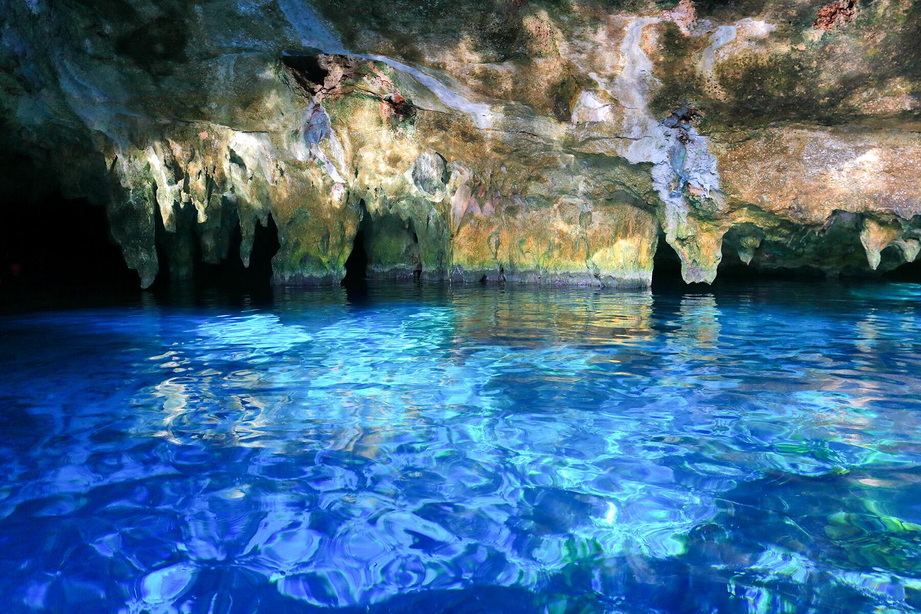 <a href='https://www.fodors.com/world/mexico-and-central-america/mexico/the-riviera-maya/experiences/news/photos/best-cenotes-to-visit-in-riviera-maya#'>From &quot;The 10 Most Magical Cenotes in the Riviera Maya: Gran Cenote&quot;</a>