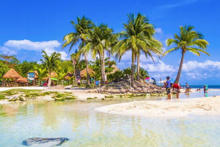 <a href='https://www.fodors.com/world/mexico-and-central-america/mexico/the-riviera-maya/experiences/news/photos/best-cenotes-to-visit-in-riviera-maya#'>From "The 10 Most Magical Cenotes in the Riviera Maya: Punta Esmeralda "</a>