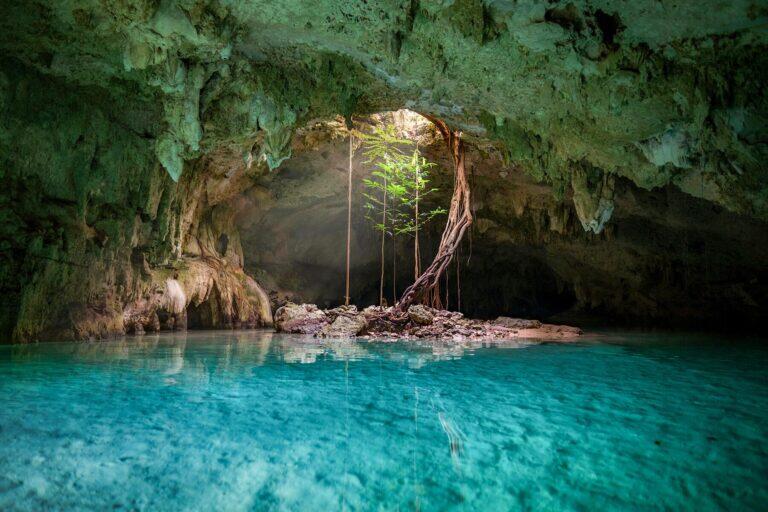 <a href='https://www.fodors.com/world/mexico-and-central-america/mexico/the-riviera-maya/experiences/news/photos/best-cenotes-to-visit-in-riviera-maya#'>From "The 10 Most Magical Cenotes in the Riviera Maya: Cenote Calavera"</a>