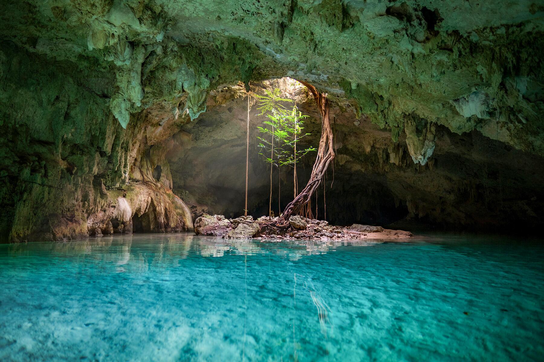 <a href='https://www.fodors.com/world/mexico-and-central-america/mexico/the-riviera-maya/experiences/news/photos/best-cenotes-to-visit-in-riviera-maya#'>From &quot;The 10 Most Magical Cenotes in the Riviera Maya: Cenote Calavera&quot;</a>