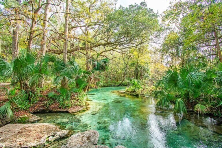 <a href='https://www.fodors.com/world/north-america/usa/florida/orlando/experiences/news/photos/best-outdoor-adventures-to-have-around-orlando-florida#'>From &quot;10 Amazing Outdoor Adventures You Can Have in Orlando: Try Clear Kayaking at Rock Springs&quot;</a>