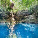 <a href='https://www.fodors.com/world/mexico-and-central-america/mexico/the-riviera-maya/experiences/news/photos/best-cenotes-to-visit-in-riviera-maya#'>From "The 10 Most Magical Cenotes in the Riviera Maya: Cenote Zapote"</a>