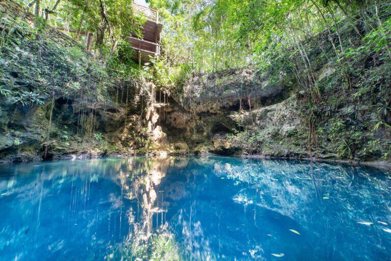 <a href='https://www.fodors.com/world/mexico-and-central-america/mexico/the-riviera-maya/experiences/news/photos/best-cenotes-to-visit-in-riviera-maya#'>From "The 10 Most Magical Cenotes in the Riviera Maya: Cenote Zapote"</a>