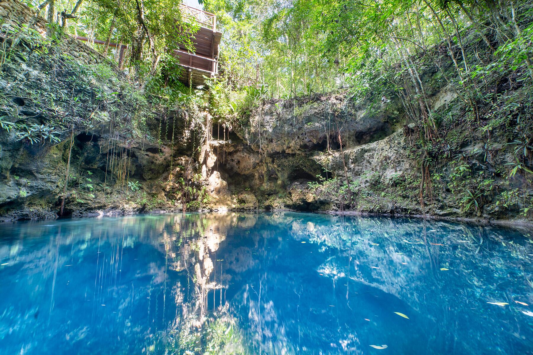 <a href='https://www.fodors.com/world/mexico-and-central-america/mexico/the-riviera-maya/experiences/news/photos/best-cenotes-to-visit-in-riviera-maya#'>From &quot;The 10 Most Magical Cenotes in the Riviera Maya: Cenote Zapote&quot;</a>