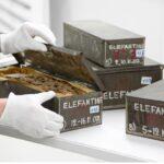 <a href='https://www.fodors.com/world/europe/germany/berlin/experiences/news/photos/best-museums-in-berlin#'>From "The 10 Best Museums in Berlin: Neues Museum"</a>