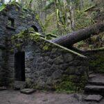<a href='https://www.fodors.com/world/north-america/usa/oregon/portland/experiences/news/photos/best-hikes-and-walks-in-portland-oregon#'>From "The 10 Best Hikes and Walks in Portland"</a>