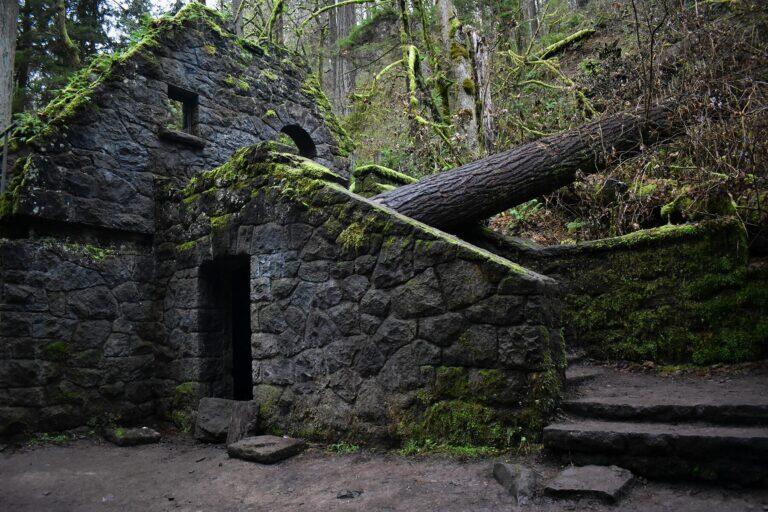 <a href='https://www.fodors.com/world/north-america/usa/oregon/portland/experiences/news/photos/best-hikes-and-walks-in-portland-oregon#'>From "The 10 Best Hikes and Walks in Portland"</a>