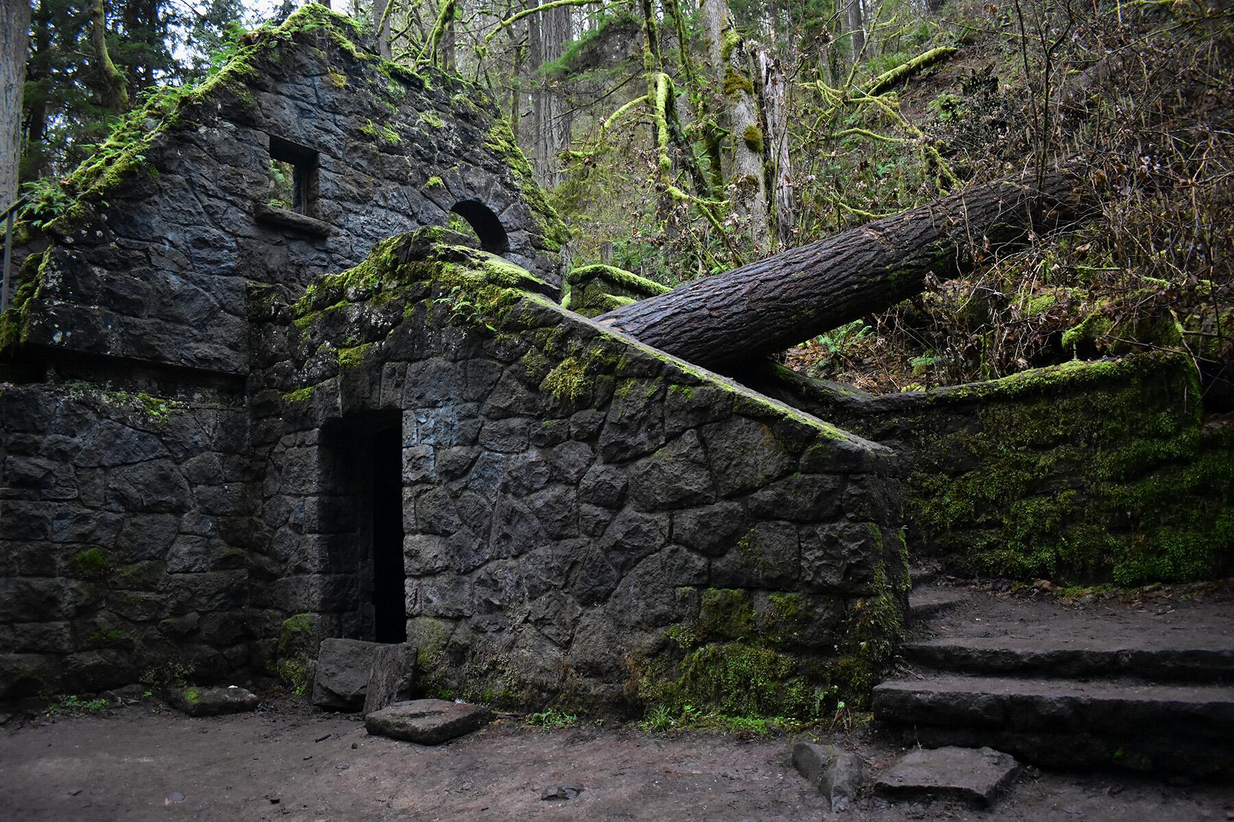 <a href='https://www.fodors.com/world/north-america/usa/oregon/portland/experiences/news/photos/best-hikes-and-walks-in-portland-oregon#'>From "The 10 Best Hikes and Walks in Portland"</a>