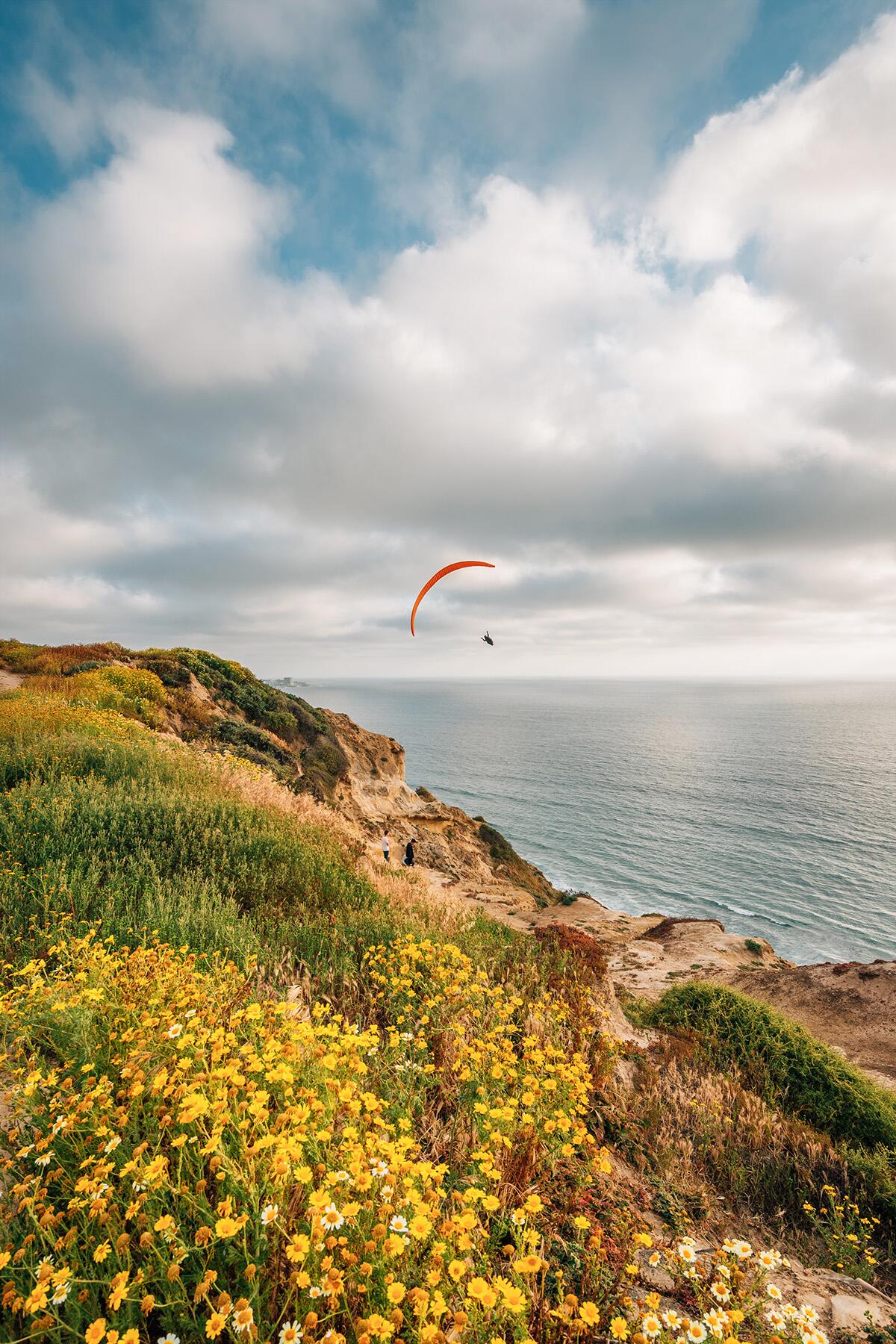 <a href='https://www.fodors.com/world/north-america/usa/california/san-diego/experiences/news/photos/best-beaches-in-san-diego#'>From "The 10 Best Beaches In San Diego: Torrey Pines State Beach"</a>