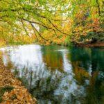 <a href='https://www.fodors.com/world/north-america/usa/oregon/portland/experiences/news/photos/best-hikes-and-walks-in-portland-oregon#'>From "The 10 Best Hikes and Walks in Portland"</a>