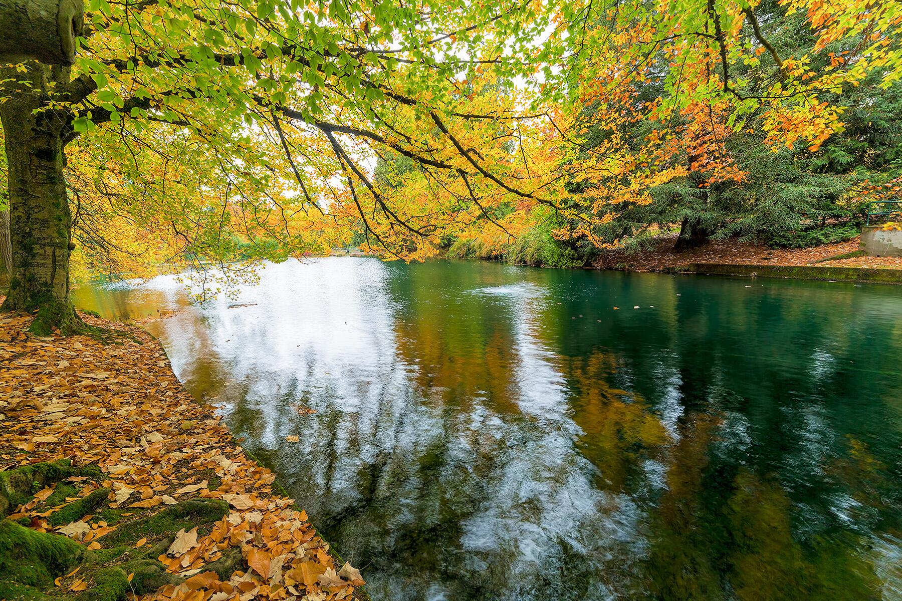 <a href='https://www.fodors.com/world/north-america/usa/oregon/portland/experiences/news/photos/best-hikes-and-walks-in-portland-oregon#'>From "The 10 Best Hikes and Walks in Portland"</a>