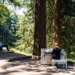 <a href='https://www.fodors.com/world/north-america/usa/oregon/portland/experiences/news/photos/best-hikes-and-walks-in-portland-oregon#'>From "The 10 Best Hikes and Walks in Portland"</a>