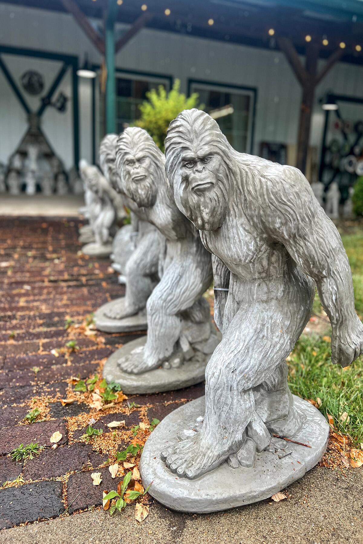 Bigfoot in Ohio: Top Sasquatch Sightings and Encounters in the