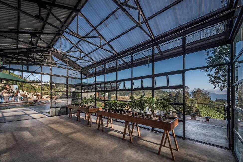 Starbucks Sun Dried Hacienda Alsacia El Roble — Discover