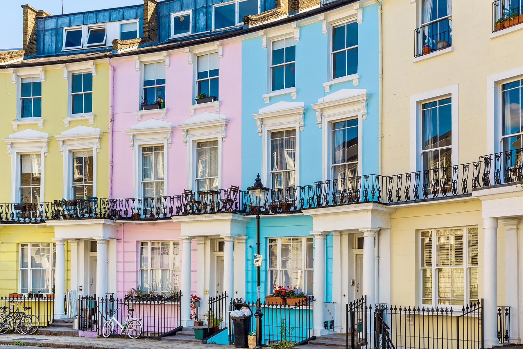 3_Primrose_istock_585291698