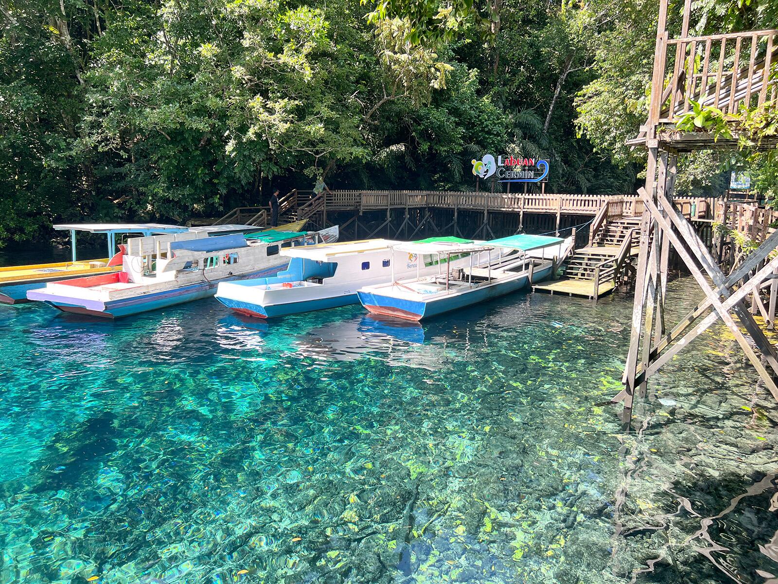 Snorkel the Derawan Islands to See Whale Sharks