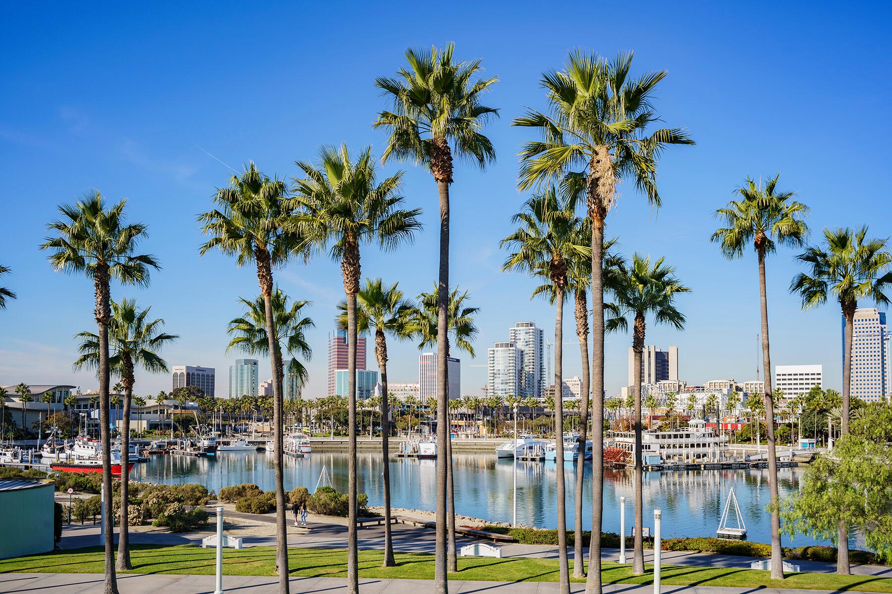 <a href='https://www.fodors.com/world/north-america/usa/california/experiences/news/photos/top-socal-taco-stops-from-taquerias-to-taco-stands#'>From "Your Guide to Southern California’s Best Tacos: Taqueria la Mexicana "</a>