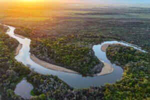 I Went to the ‘Land of Giants,’ Searching for a 20-Foot Black Caiman