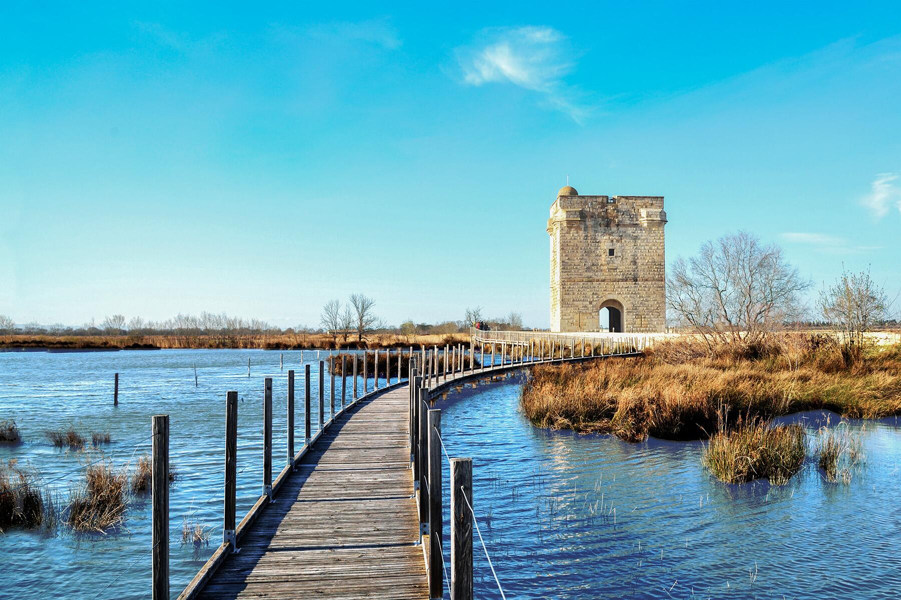 <a href='https://www.fodors.com/go-list/2025/europe#camargue'>Fodor’s Go List 2025: Camargue, France</a>